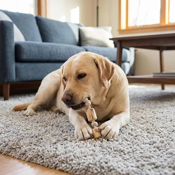 Coffee Wood Dog Chew Stick - Coffee Wood Stick for Your Pets - Non Toxic Safe Puppy Chew Toy for Teething & Gifts for Dogs