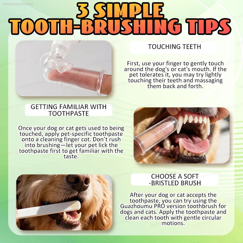 POZOAMIS Dental Cleaning Toothpaste For Dogs Cats Gently Freshens Breath Removes Plaque Suitable For Small Medium And Large Dogs Cats Pet Oral Care Pet Supplies