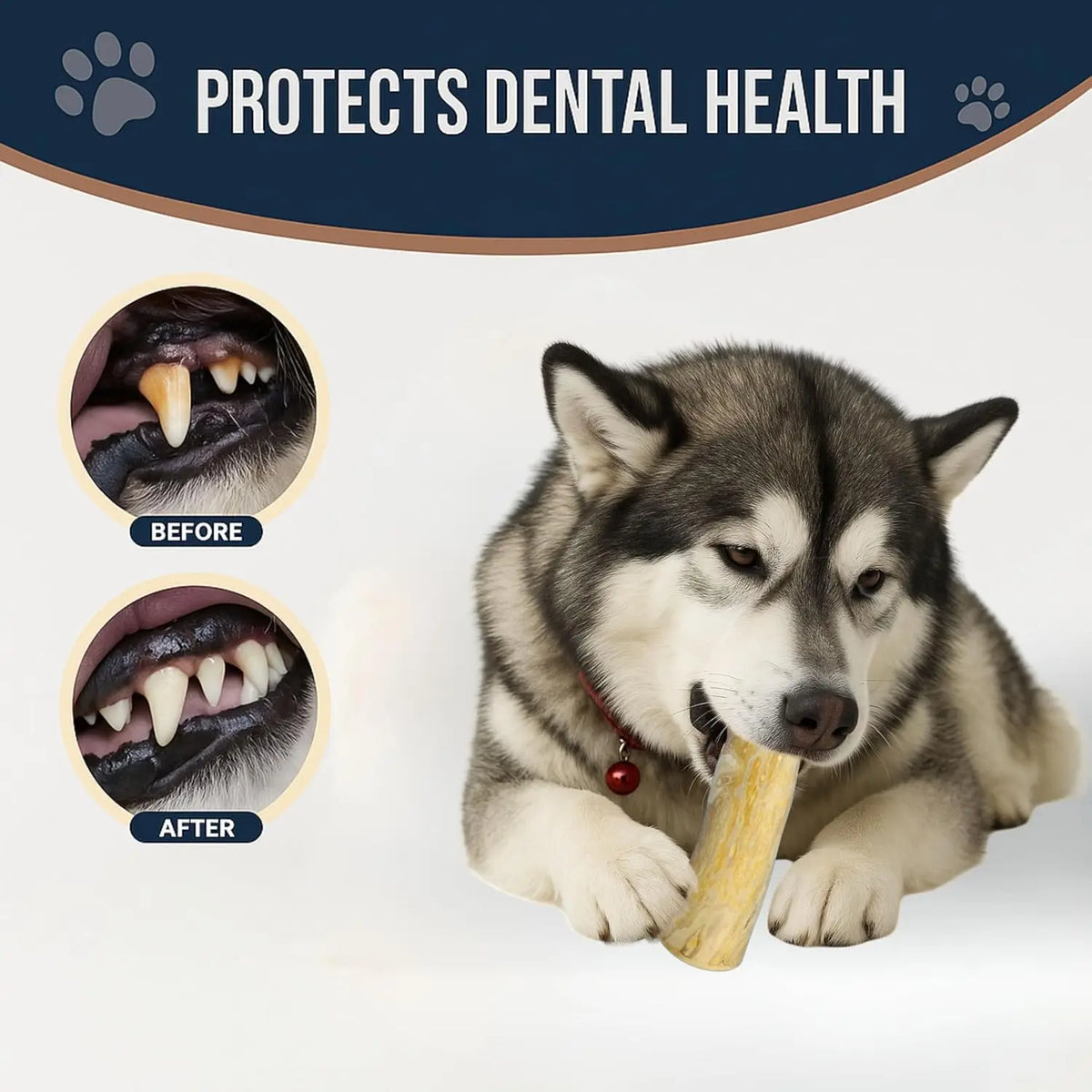Coffee Wood Dog Chew Stick - Coffee Wood Stick for Your Pets - Non Toxic Safe Puppy Chew Toy for Teething & Gifts for Dogs